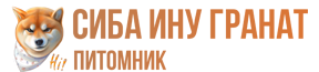 Сиба Ину
